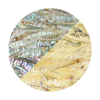 VUMP240_2 - SHELL VENEER UNCOATED - MEXICAN ABALONE PINK - OCEAN SHELL STUDIOS