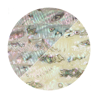 VUMRX240_2 - SHELL VENEER UNCOATED - MEXICAN ABALONE GREEN RIPPLE XTRA-LIGHT - OCEAN SHELL STUDIOS