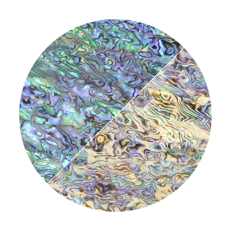 VUPN205_3 - SHELL VENEER UNCOATED - PAUA NATURAL - OCEAN SHELL STUDIOS