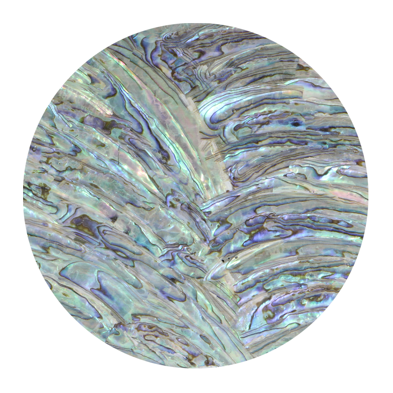 VUPR240 - SHELL VENEER UNCOATED - PAUA - RIMS - OCEAN SHELL STUDIOS