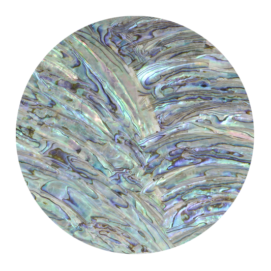 VUPR240 - SHELL VENEER UNCOATED - PAUA - RIMS - OCEAN SHELL STUDIOS