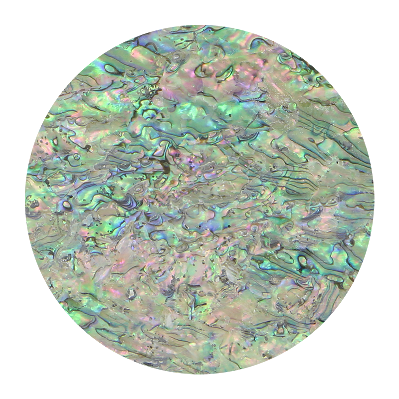 VUPW205 - SHELL VENEER UNCOATED - PAUA WORMY - OCEAN SHELL STUDIOS