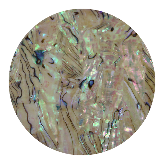 VUPXL240_60291035-9a44-45c2-99e4-9826be941d7b - SHELL VENEER UNCOATED - PAUA EXTRA LIGHT - OCEAN SHELL STUDIOS