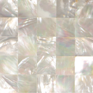 WM2060_2 - SOLID SHELL TILE - WMOP - SQUARE - OCEAN SHELL STUDIOS