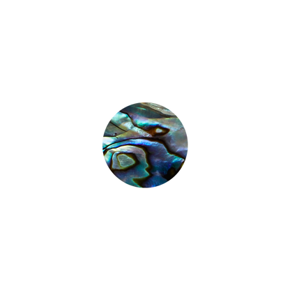 SHELL VENEER SHAPE - PAUA - CIRCLE