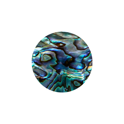 SHELL VENEER SHAPE - PAUA - CIRCLE