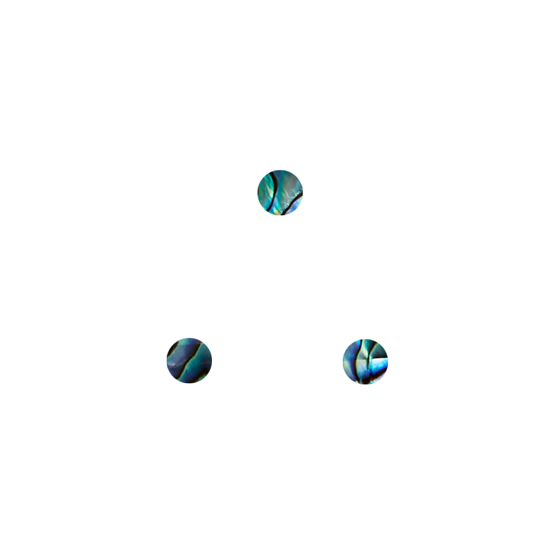 SHELL VENEER SHAPE - PAUA - CIRCLE