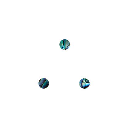 SHELL VENEER SHAPE - PAUA - CIRCLE