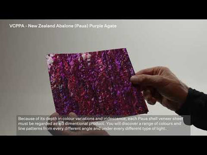 SHELL VENEER COATED - PAUA PURPLE AGATE