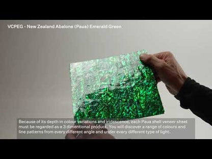 SHELL VENEER COATED - PAUA EMERALD GREEN