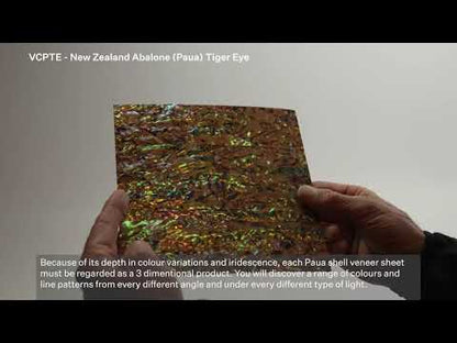 SHELL VENEER COATED - PAUA TIGERS EYE