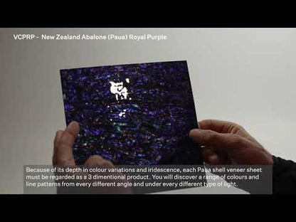 SHELL VENEER COATED - PAUA ROYAL PURPLE