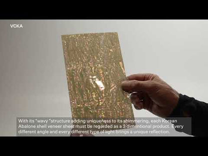 SHELL VENEER COATED - KOREAN ABALONE NATURAL