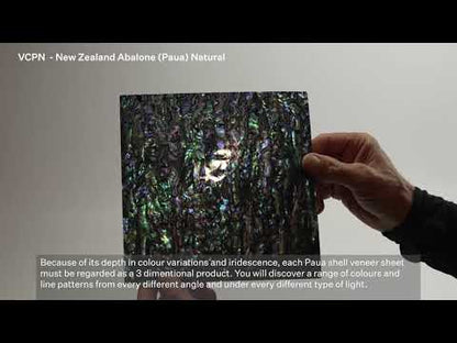 SHELL VENEER COATED - NZ ABALONE PAUA NATURAL