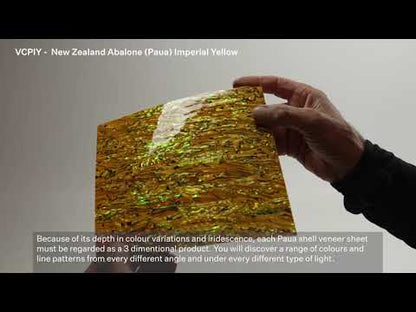 SHELL VENEER COATED - PAUA IMPERIAL YELLOW